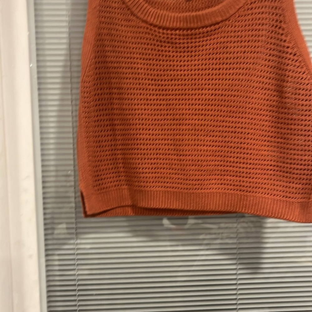 Lulus Crop Top Nwot, Rust In Color, Size L, Beaut… - image 3